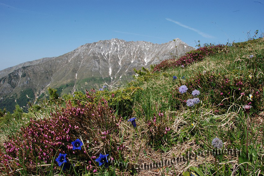 36 Sentiero Rifugio Capanna 2000.JPG